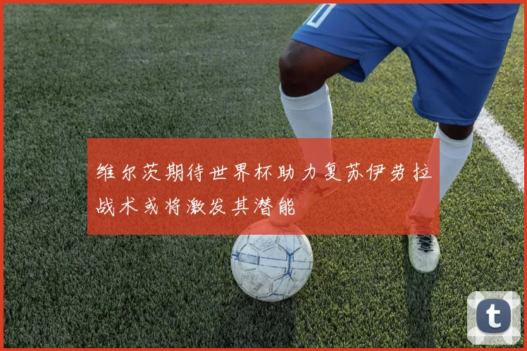 维尔茨期待世界杯助力复苏伊劳拉战术或将激发其潜能